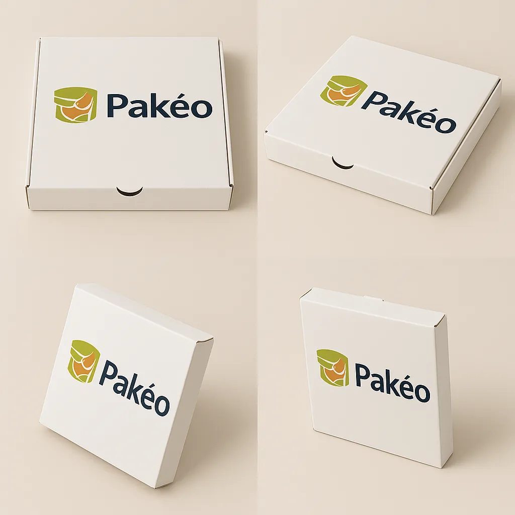 pakeo-pizza-box-3d-perspective.jpg.webp